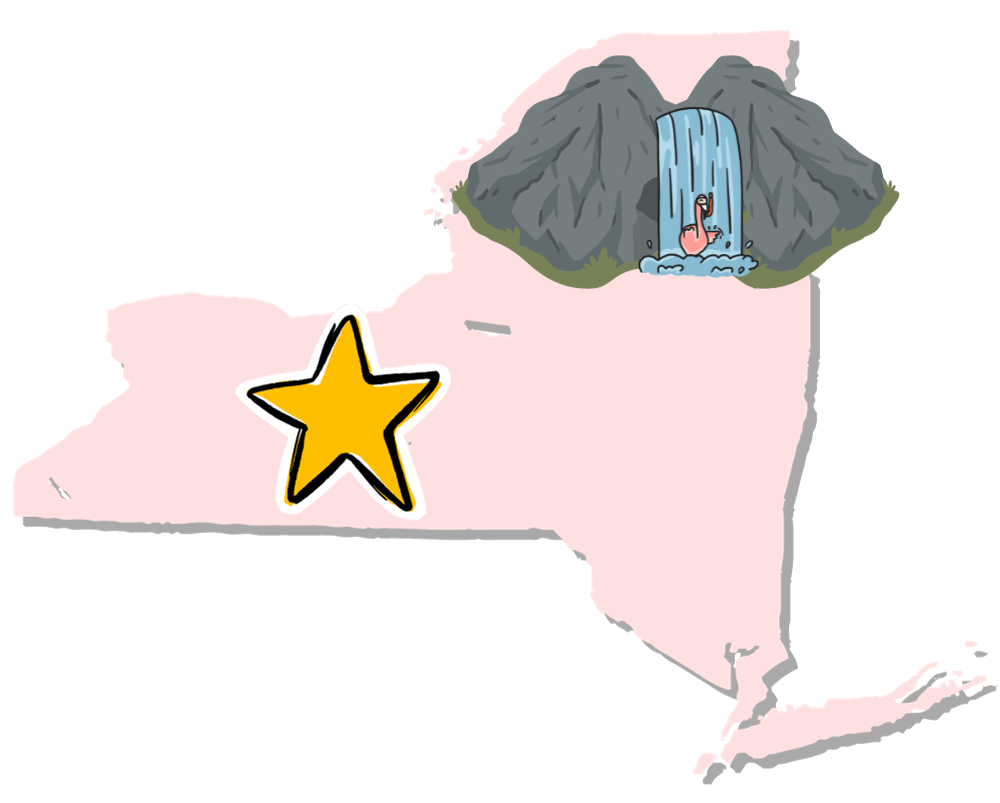 state of new york with flamingo in waterfall