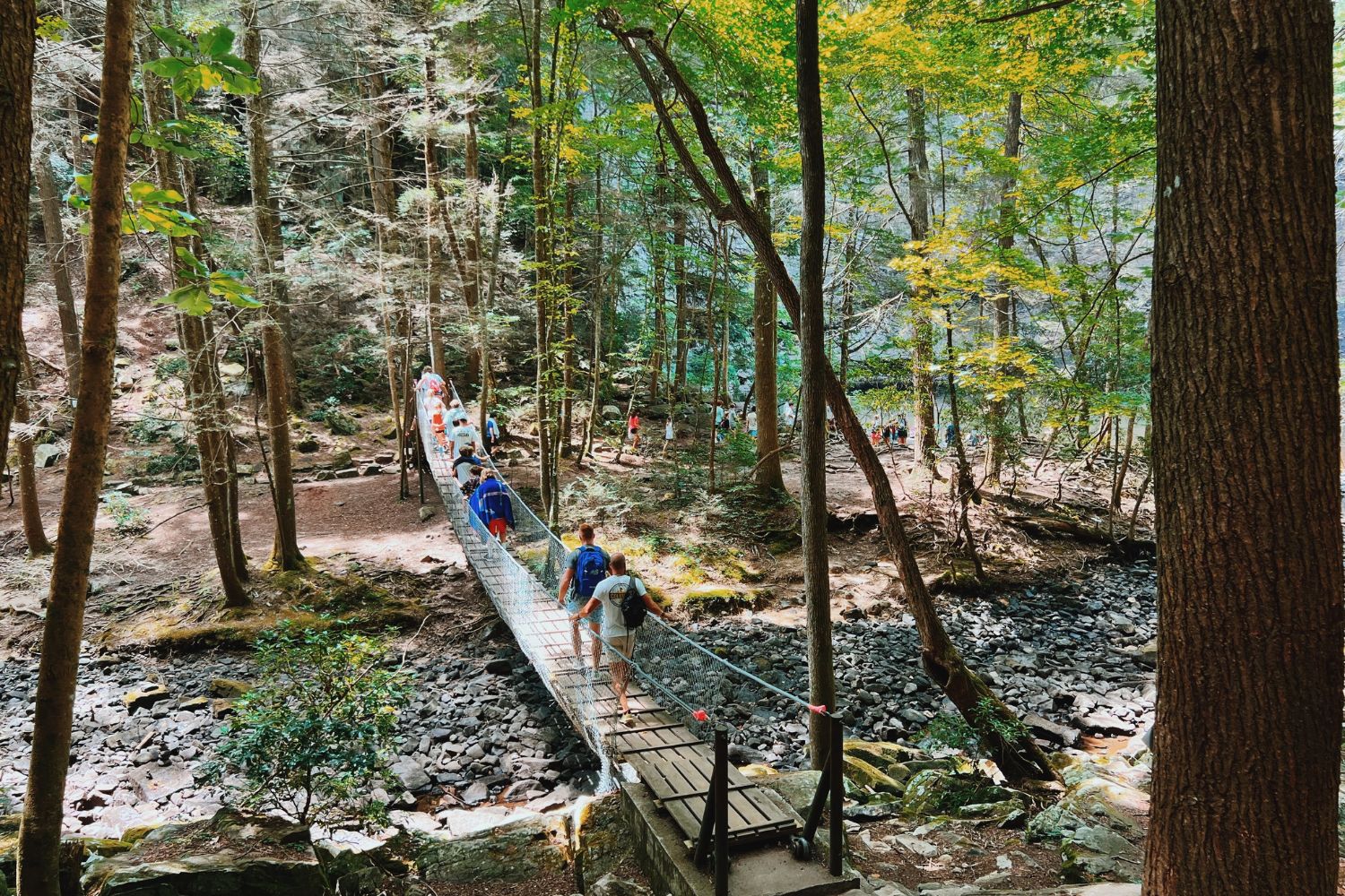 A group of campers crossing a bridge during a TN hike to a waterfall